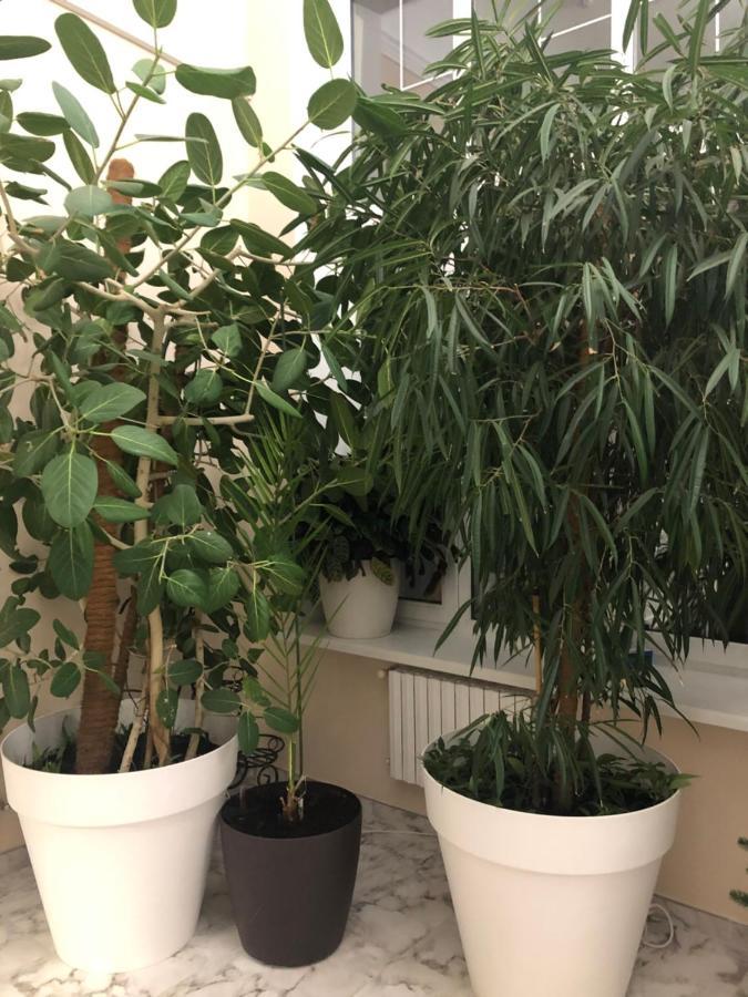 אודסה The Gardenapartments מראה חיצוני תמונה